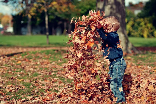 Bambino che sposta le foglie nel mezzo dell'autunno